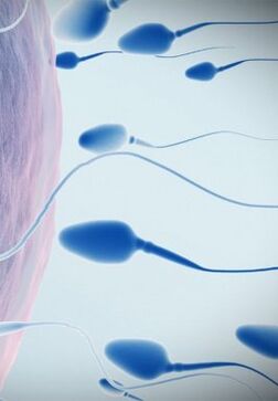 Spermogram pro nízkou účinnost