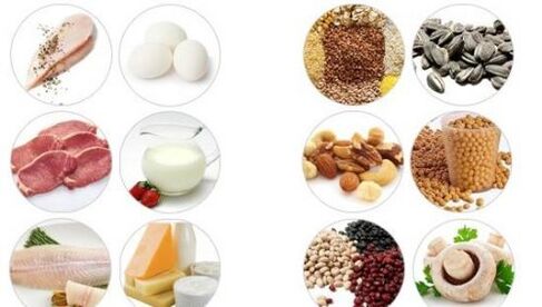 Produkty s vysokým obsahem živočišných a rostlinných bílkovin pro mužskou potenci
